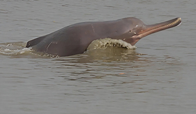Slideshow Image 4